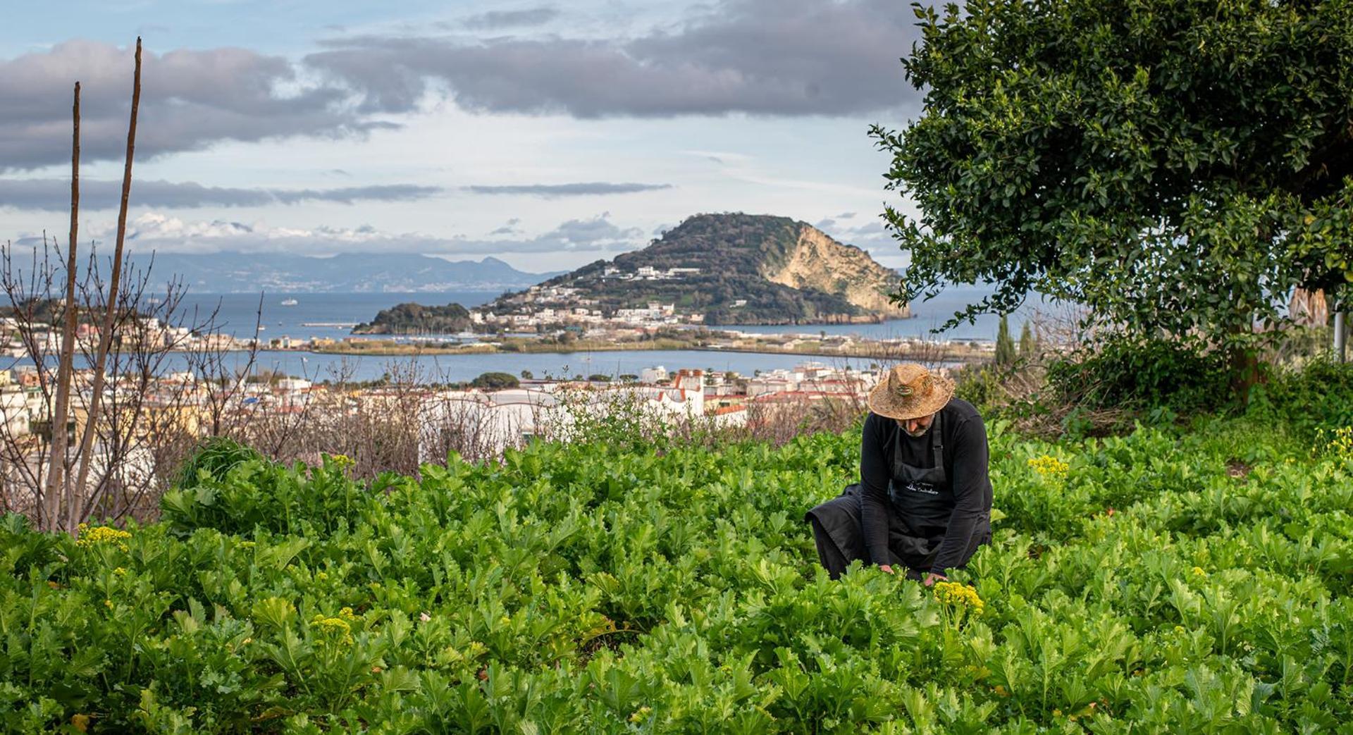 Don Salvatore Resort Monte di Procida Eksteriør billede